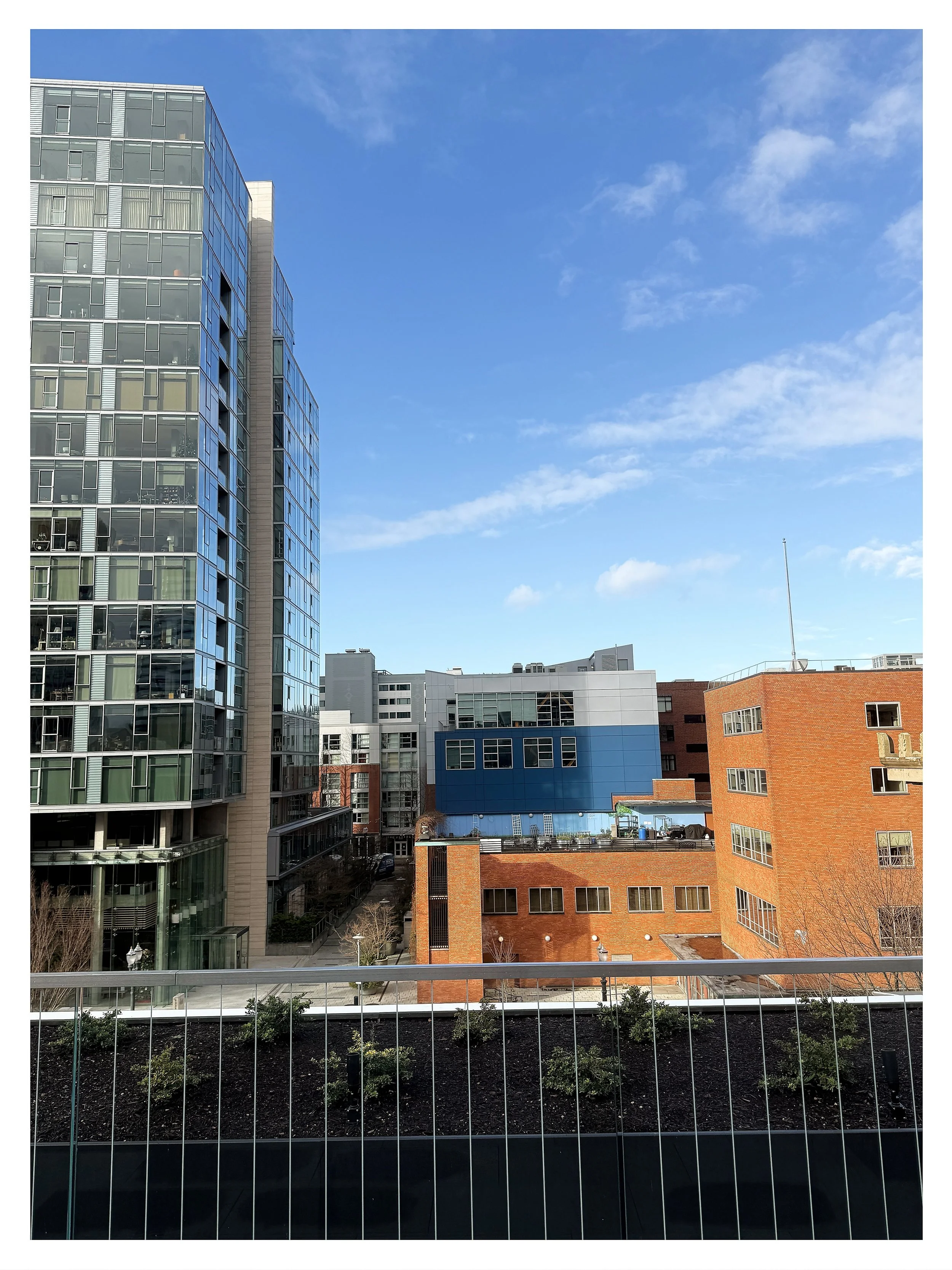 Portland Art Museum, Dec 2025 — Grethershot: Morgan Stone Grether